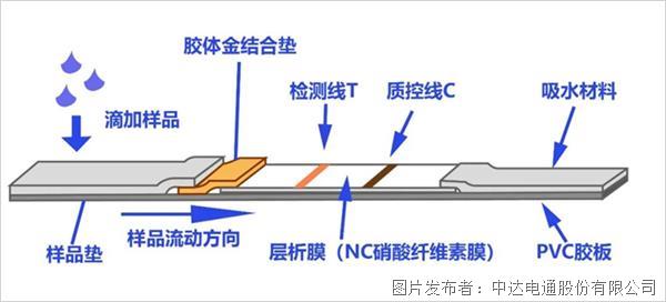 防疫新武器 抗原自测试剂盒来了！(图6)